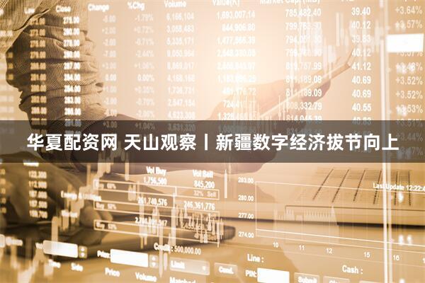 华夏配资网 天山观察丨新疆数字经济拔节向上