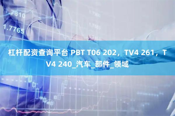 杠杆配资查询平台 PBT T06 202，TV4 261，TV4 240_汽车_部件_领域
